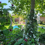 Photos de Les Myrrophores M1712 - Chambres d'Hôtes et SPA n°14