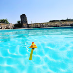 Photos de Domaine au Marchay n°9