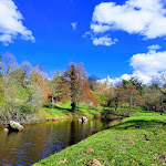 Photos de La Mousselade Chambres Hôtes. Lac St Pardoux n°16