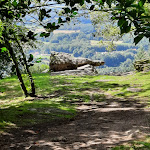 Photos de La Mousselade Chambres Hôtes. Lac St Pardoux n°21