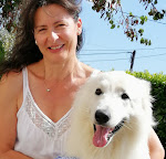 Photos de chambres d'hôtes aux trois phares n°11