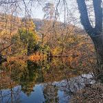 Photos de Camping les Tilleuls n°3