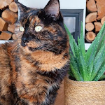 Photos de Chez lyly et juju n°21