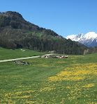 Photos de AUX PIEDS DES CIMES n°5