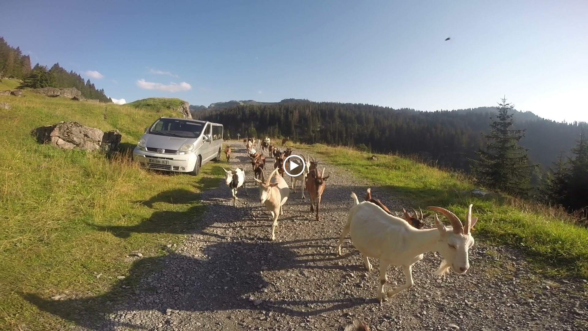 Photos de Heyday Chalet n°3