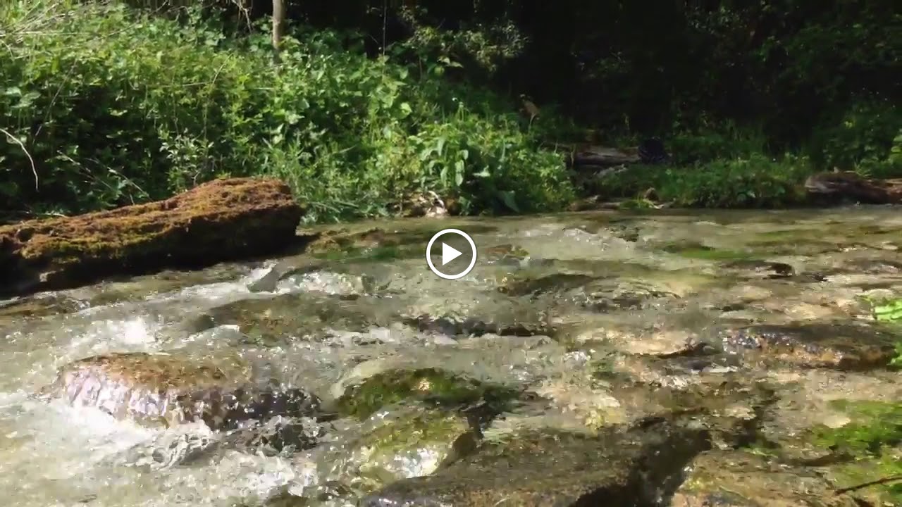 Photos de la VIRGULE de Tanlay n°9