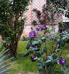 Photos de Chambre d' hôtes La Parenthèse à La Réole n°11