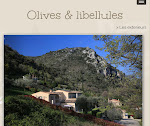 Photos de Gîtes Olives et Libellules n°5