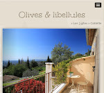 Photos de Gîtes Olives et Libellules n°14