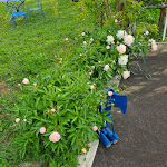 Photos de VILLA PIERRE n°5