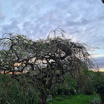 Photos de VILLA PIERRE n°6