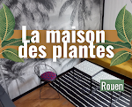 Photos de La Maison des Plantes, tiny house / maison à louer pour les professionnels en déplacement ou touristes n°7