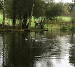 Photos de Gîte l'Air de Vendée n°7