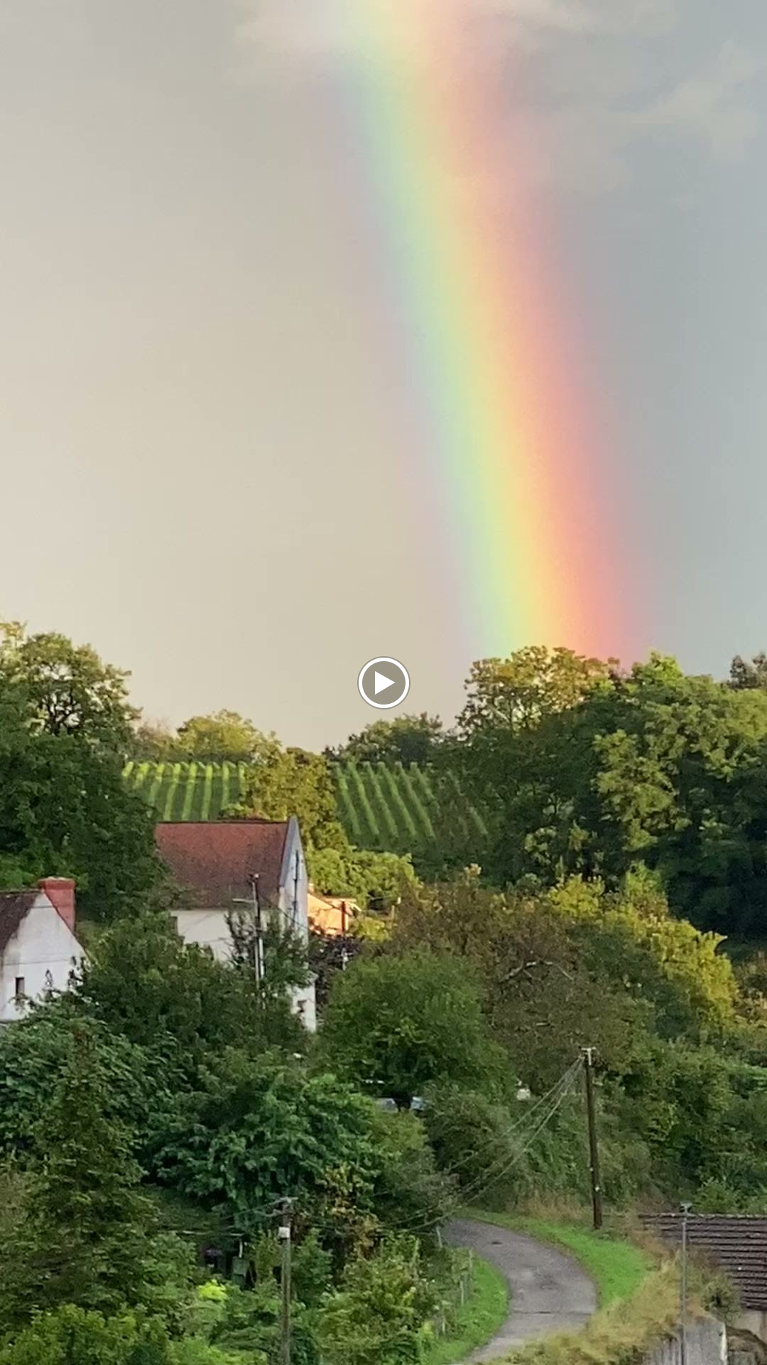 Photos de Manoir des Roches n°14