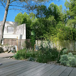 Photos de Studio D'hôtes Les libellules n°2