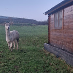 Photos de Domaine du vieux chêne n°12