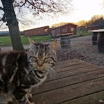 Photos de Domaine du vieux chêne n°14