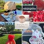 Photos de Sleeping Bio Tea n°14