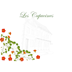 Photos de Maison d'hôtes les capucines n°9