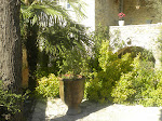 Photos de La Bastide Cevenole n°8