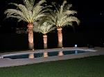 Photos de Cotedazur_villa_holidays n°9