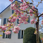 Photos de Annecy My Sweet Home n°8