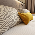 Photos de Hôtel Le Roosevelt Lyon n°19