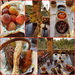 Photos de Les Logis de Paban - MACCABE Séverine n°10