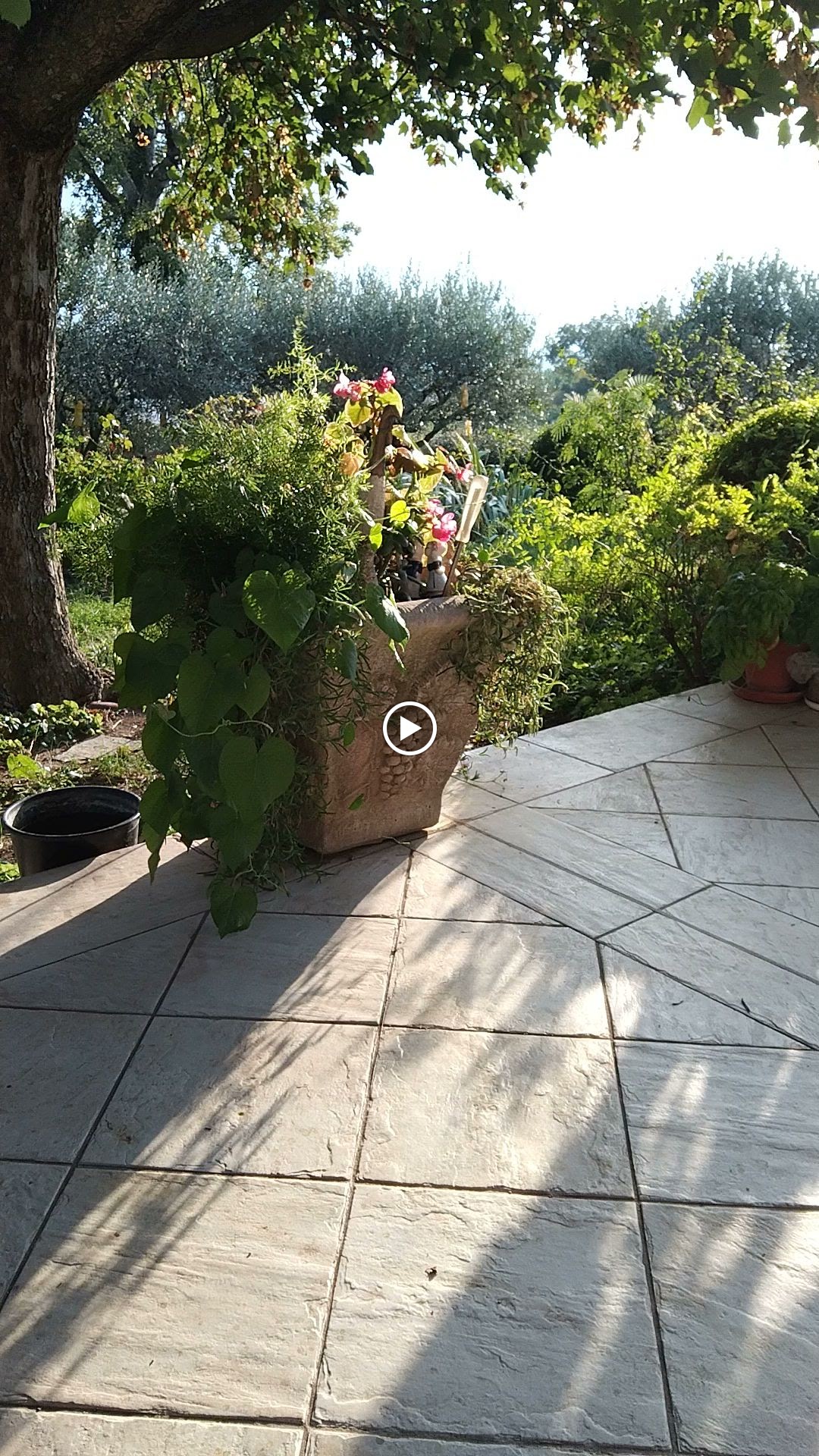 Photos de Les Oliviers de Claron n°2