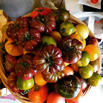 Photos de Les Chambres Du Meunier n°5