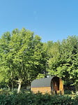 Photos de Camping de Thoissey - Val de Saône*** - Porte Dombe Beaujolais n°16