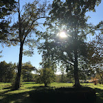 Photos de Chalets Le Tuquet Vert n°9