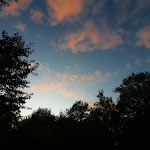 Photos de Chalets Le Tuquet Vert n°10