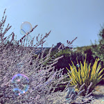 Photos de Villa Font Vive - Maison d'hôtes éco-responsable et Roulotte n°19