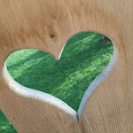 Photos de Chambre d'accueil aux randonneurs n°21