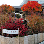 Photos de La Villa Estérel n°9