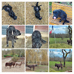 Photos de Domaine de la Richardelle n°9