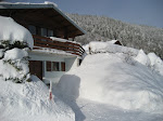 Photos de chalet les jonquilles La Bresse 2/4 pers. n°5