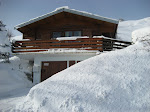 Photos de chalet les jonquilles La Bresse 2/4 pers. n°12