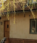 Photos de Farmhouse B&B n°2