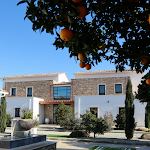 Photos de La Dolce Vita n°12