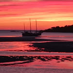 Photos de La Maison du petit Chat Blanc n°16