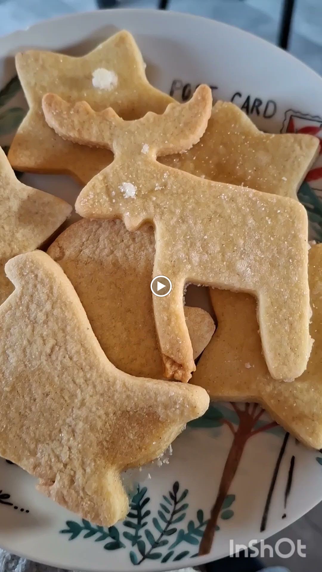 Photos de L'Orée du bois Gaubau n°3