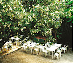 Photos de Hôtel Belle Meunière n°8