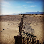 Photos de Studio Vert n°9