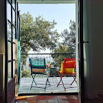 Photos de Studio Vert n°12