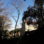 Photos de Studio Vert n°13