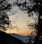 Photos de Studio Vert n°15