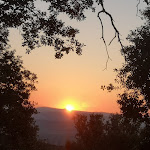 Photos de Studio Vert n°17